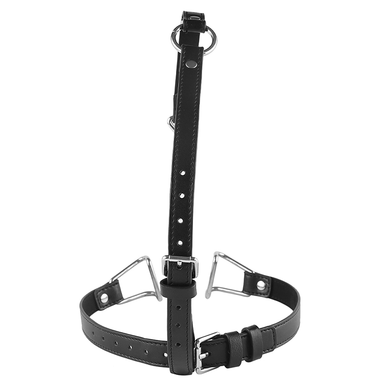 SM 입 플러그 여성 노예 입 플러그 스테인레스 스틸  - Women'S Fashion Harness 리뷰 및 가격